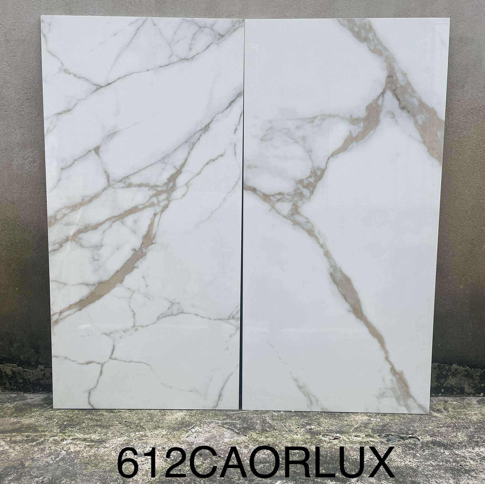 Hình thực tế Gạch 612CAORLUX